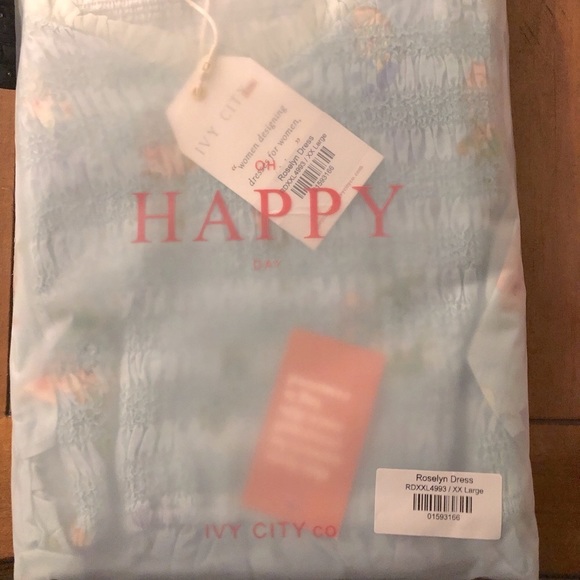 ❌SOLD❌ Ivy City Co BNWT Roselyn dress size XXL - Picture 4 of 7